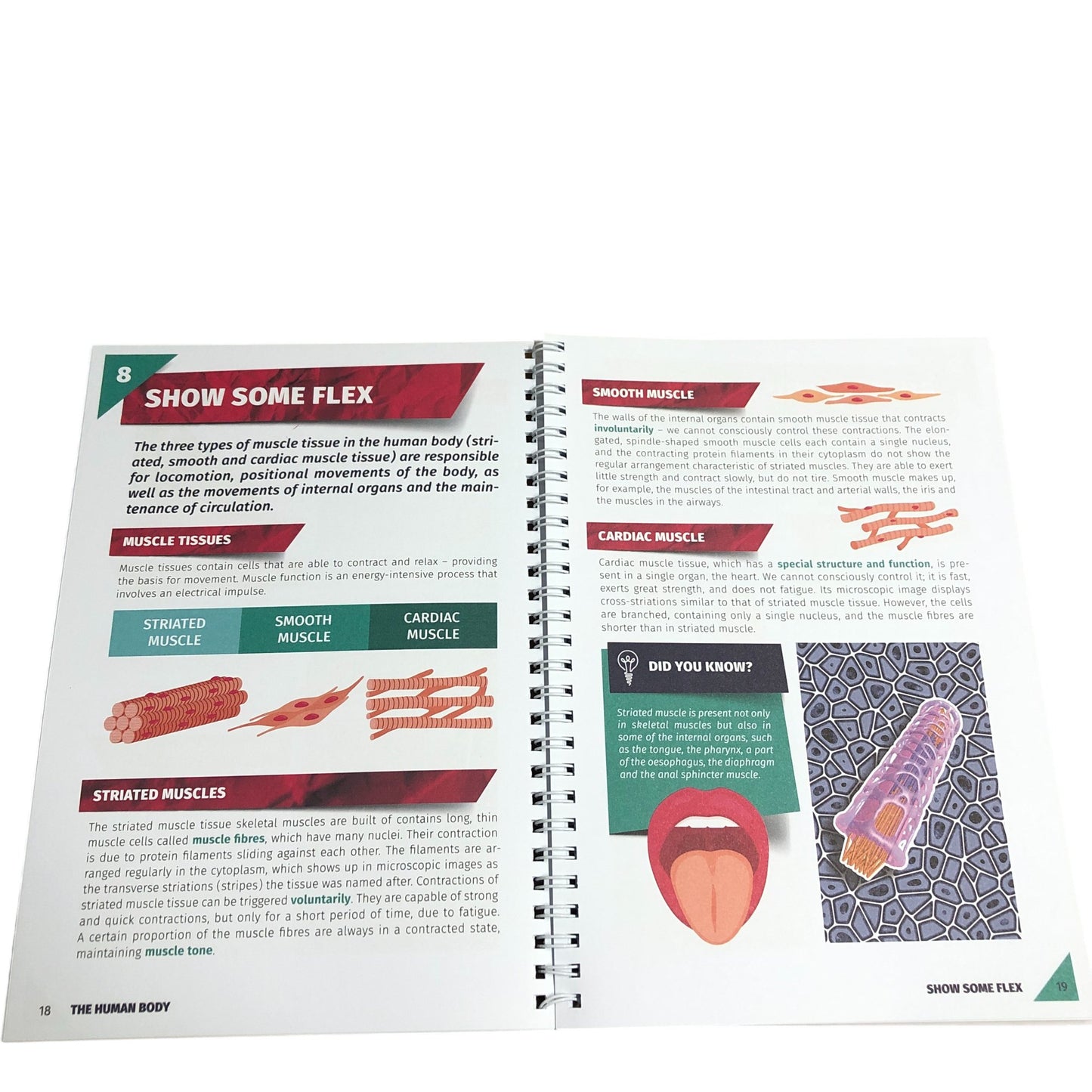 Augmented Reality The Human Body Interactive Learning Book 3D Animations