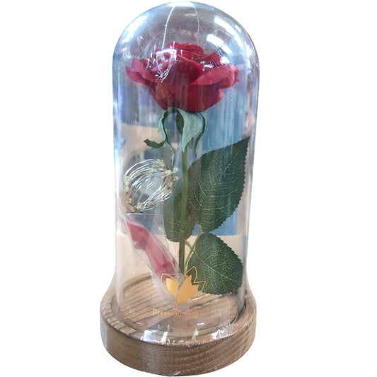 Dream of Flowers Preserved Red Eternal Rose Glass Dome Gift Decorative Item