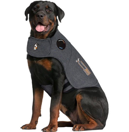 THUNDERSHIRT Insanely Calm Dog Anxiety Solution XXL Solid Gray Vest