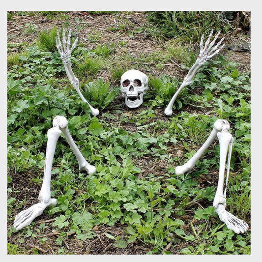 GROUND BREAKING Skeleton Life-Size Decoration Set for Halloween Display