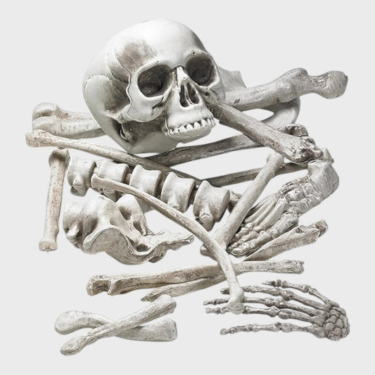 PRETEX Bag of Skeleton Bones & Skull - 18 Pieces