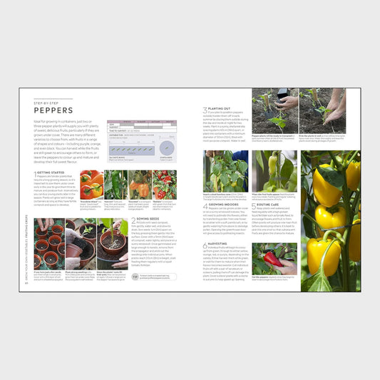 RHS Step-By-Step Veg Patch Paperback Book