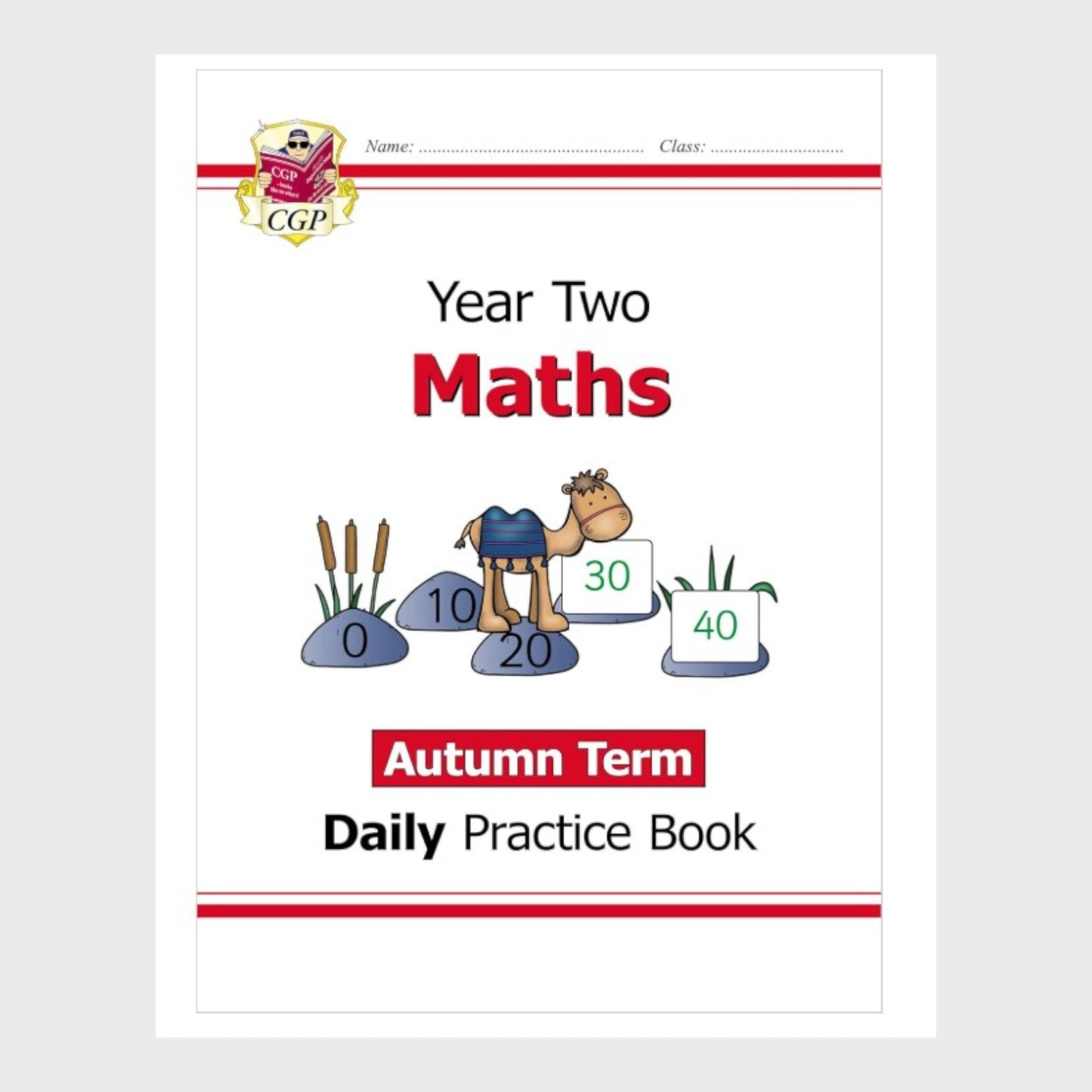 CGP Year Two Maths Autumn Term Daily Practice Book