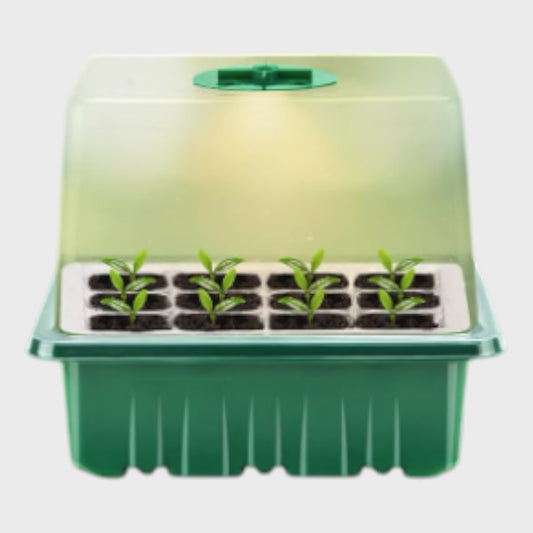 Propagation Seed Trays with Grow Lights - Set of Five
