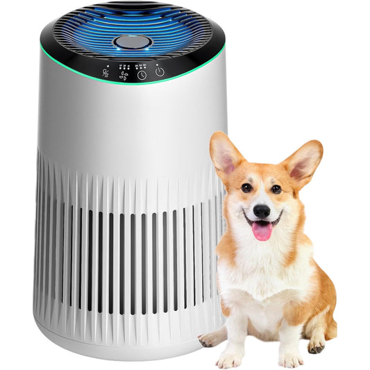 Morento Air Purifier Indoor Model X0025Z2AQN Aromatherapy Low Noise Operation
