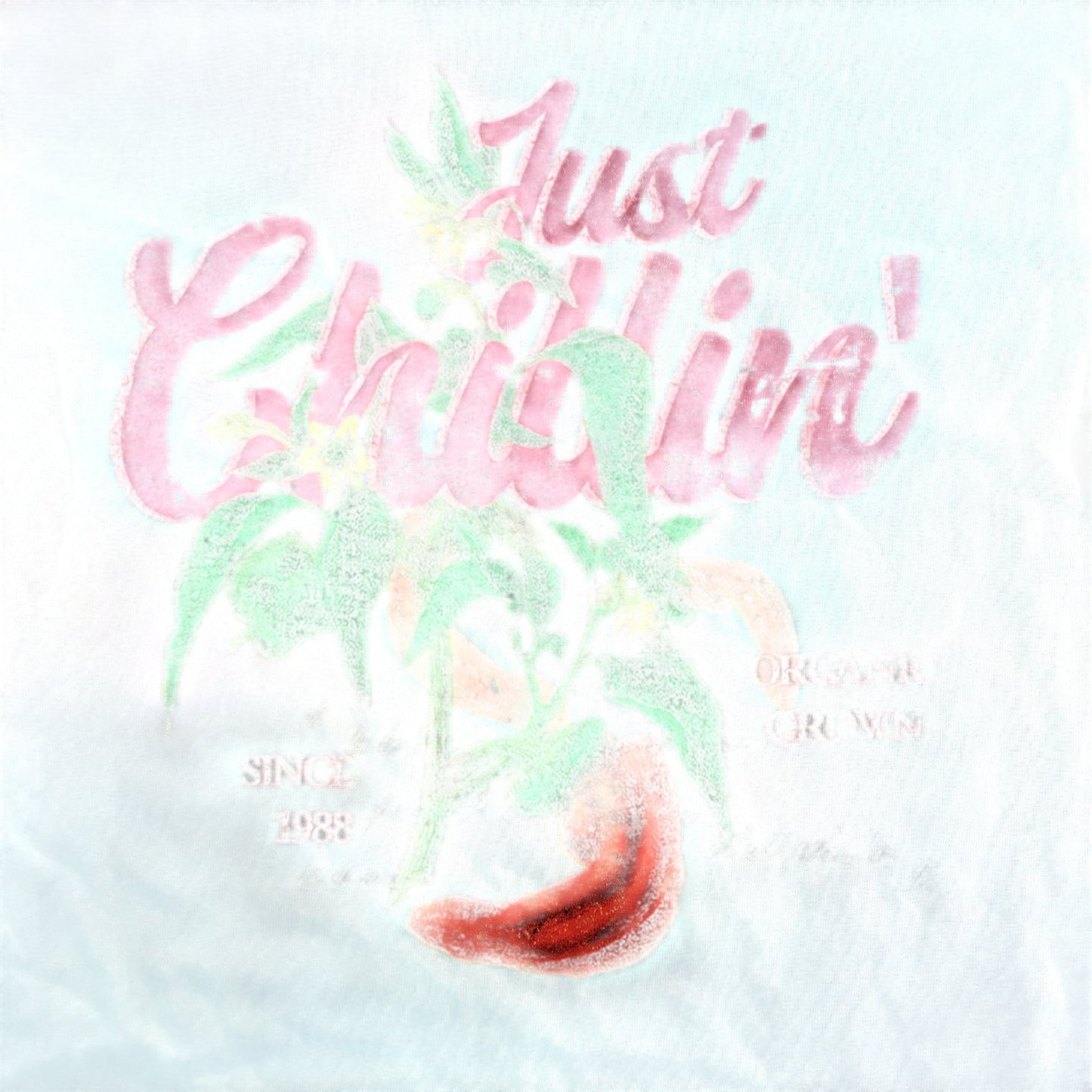 River Island Chilli Club T-Shirt 9-10 Years Kids Cream Short Sleeve Cotton