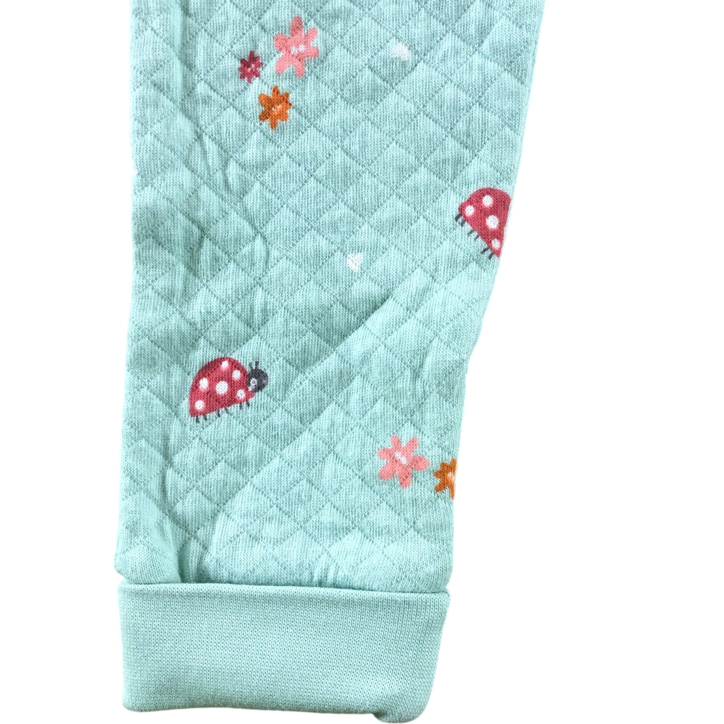 Mini Cuddles 9-12 Months Baby Playsuit Mint Green Ladybird Floral Pattern