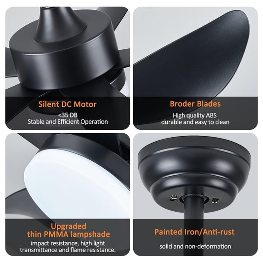 RheaFan 30 Inch Smart LED Ceiling Fan With Lights Remote Control Black Indoor