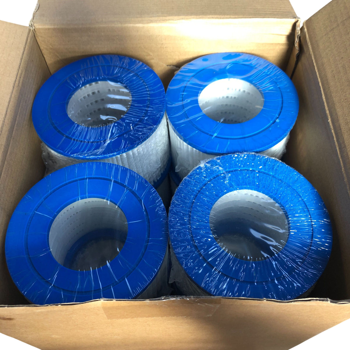 GuijinHao 12pcs Hot Tub Replacement Cartridge C42-12 Filter Set New