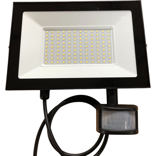 LED Floodlight 100W Cold White Outdoor Lighting Spot Light IP66 Remote Control