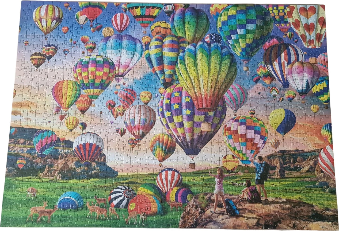 HUADADA 1000 Pieces Puzzle Vibrant Hot Air Balloons Scenic Landscape Jigsaw