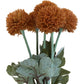 Dried Flowers Bouquet Orange Pom Poms with Green Leaves Home Decor