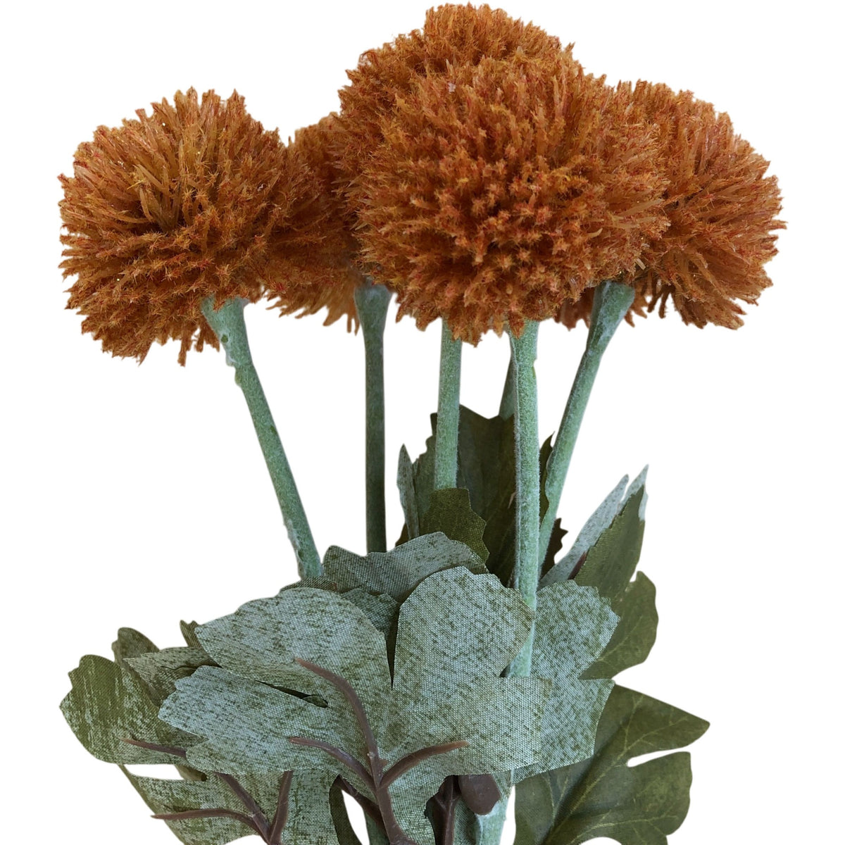 Dried Flowers Bouquet Orange Pom Poms with Green Leaves Home Decor