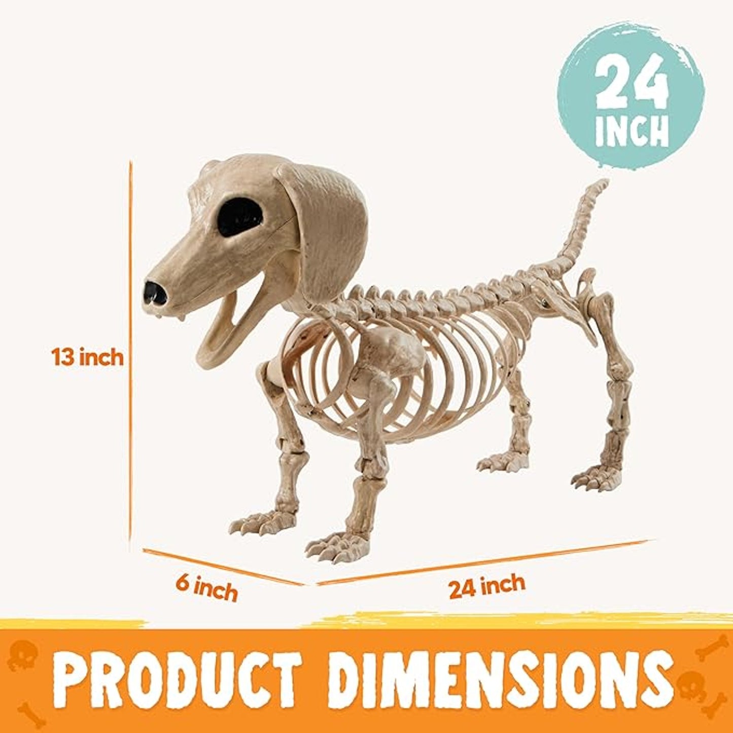 JOYIN 24 Inch Skeleton Wiener Dog Halloween Decoration Indoor Outdoor Fun