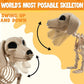JOYIN 24 Inch Skeleton Wiener Dog Halloween Decoration Indoor Outdoor Fun