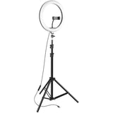 Ring Fill Light F-537S Video Lighting Adjustable Colour Temperature Stand 10"