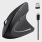 Ergonomic Black Wireless Mouse