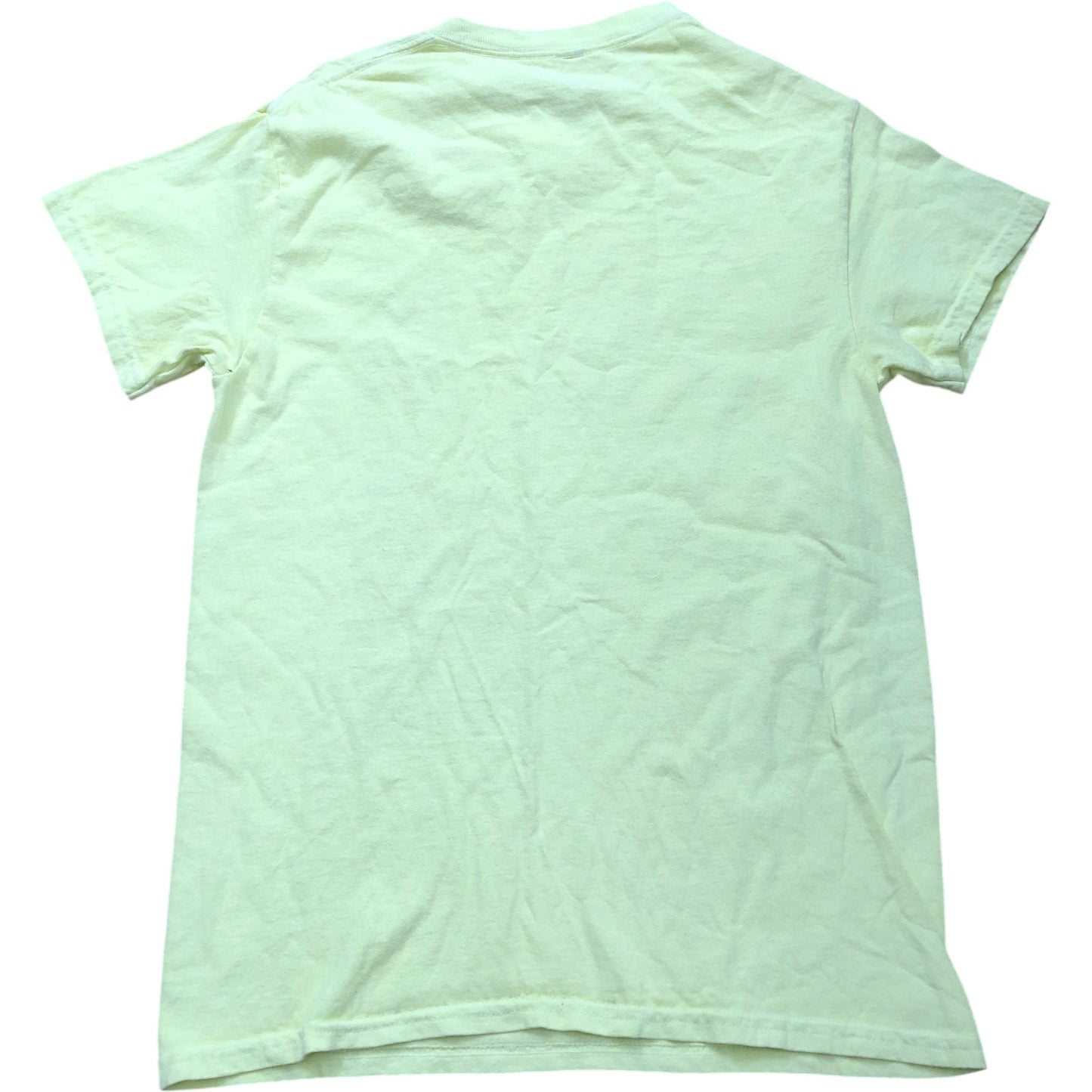River Island Relaxed Locally Sourced T-Shirt XS Women's Yellow Kiwi Print