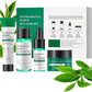 MOOYAM Tea Tree Salicylic 30 Days Anti Acne Set Natural Ingredients