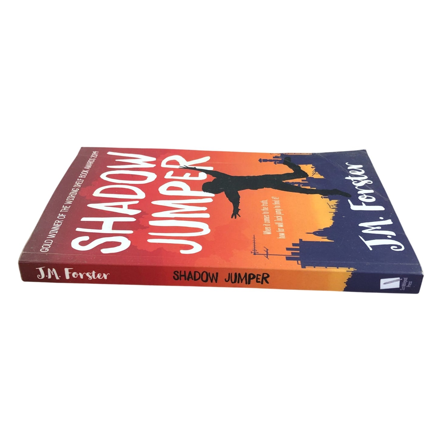 Shadow Jumper J.M. Forster Book Adventure Mystery Teens Age 9 Plus