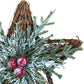 Lit Decorative Star Tree Topper Ornament With Pine & Red Berries