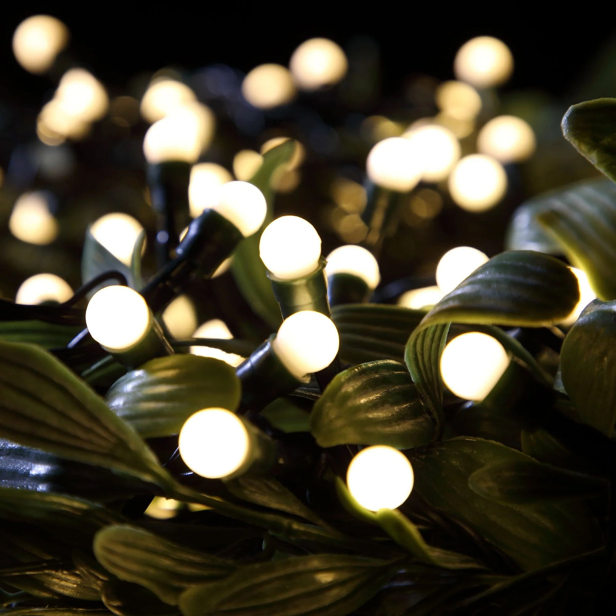 Warm White String Lights Indoor Outdoor Christmas Decor LED 240V