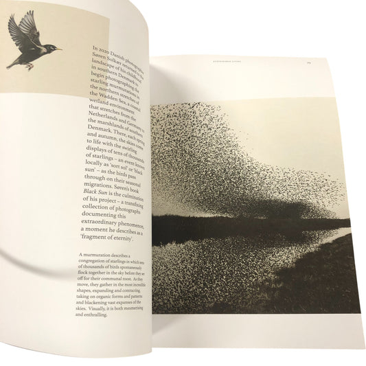 Seed Volume 05 Spring 2023 Magazine Celebrating Food Craft Travel Living
