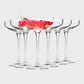 Krosno Champagne Saucer Coupe Glasses - Set of 6