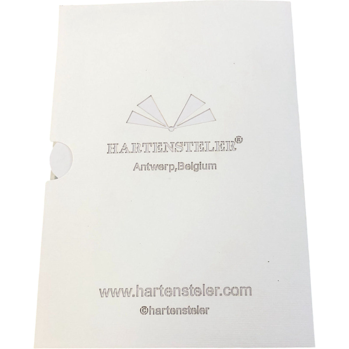 Hartensteler Pop-Up Christmas Card Santa and Reindeer