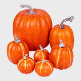 Pumpkin 7 Piece Set