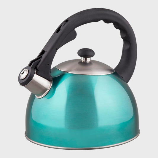 Aqua Stainless Steel Whistling Stovetop Kettle