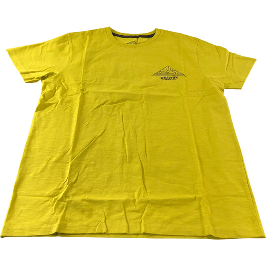 Weird Fish Antique Moss Pyramid View T-Shirt - Size Medium