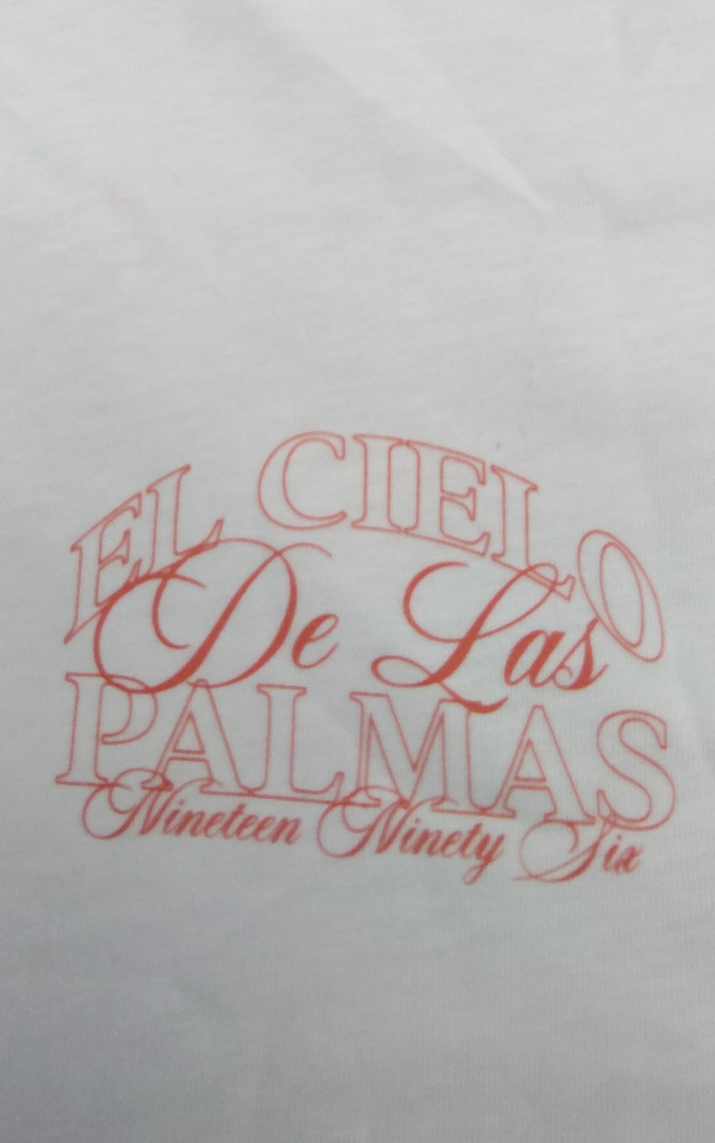 River Island Regular Fit T-Shirt EL Cielo De Las Palmas White Graphic Print XL