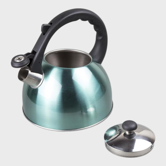 Aqua Stainless Steel Whistling Stovetop Kettle