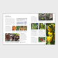 RHS Step-By-Step Veg Patch Paperback Book