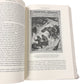 The Mountain A Political History from the Enlightenment to the Present Hardback