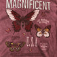 River Island Magnificent Graphic T-Shirt Kids Butterfly Design Size 9-10 Years