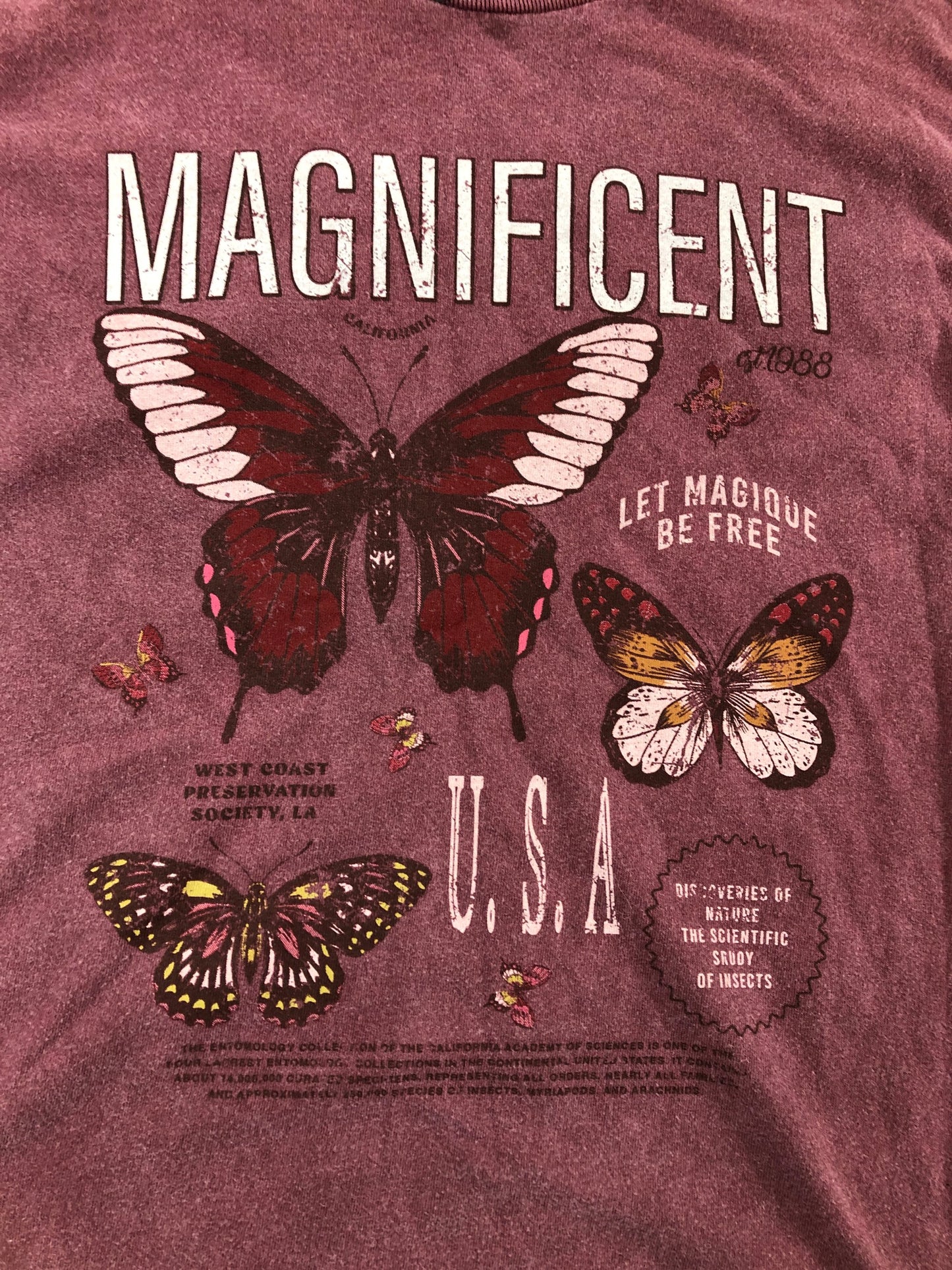 River Island Magnificent Graphic T-Shirt Kids Butterfly Design Size 9-10 Years