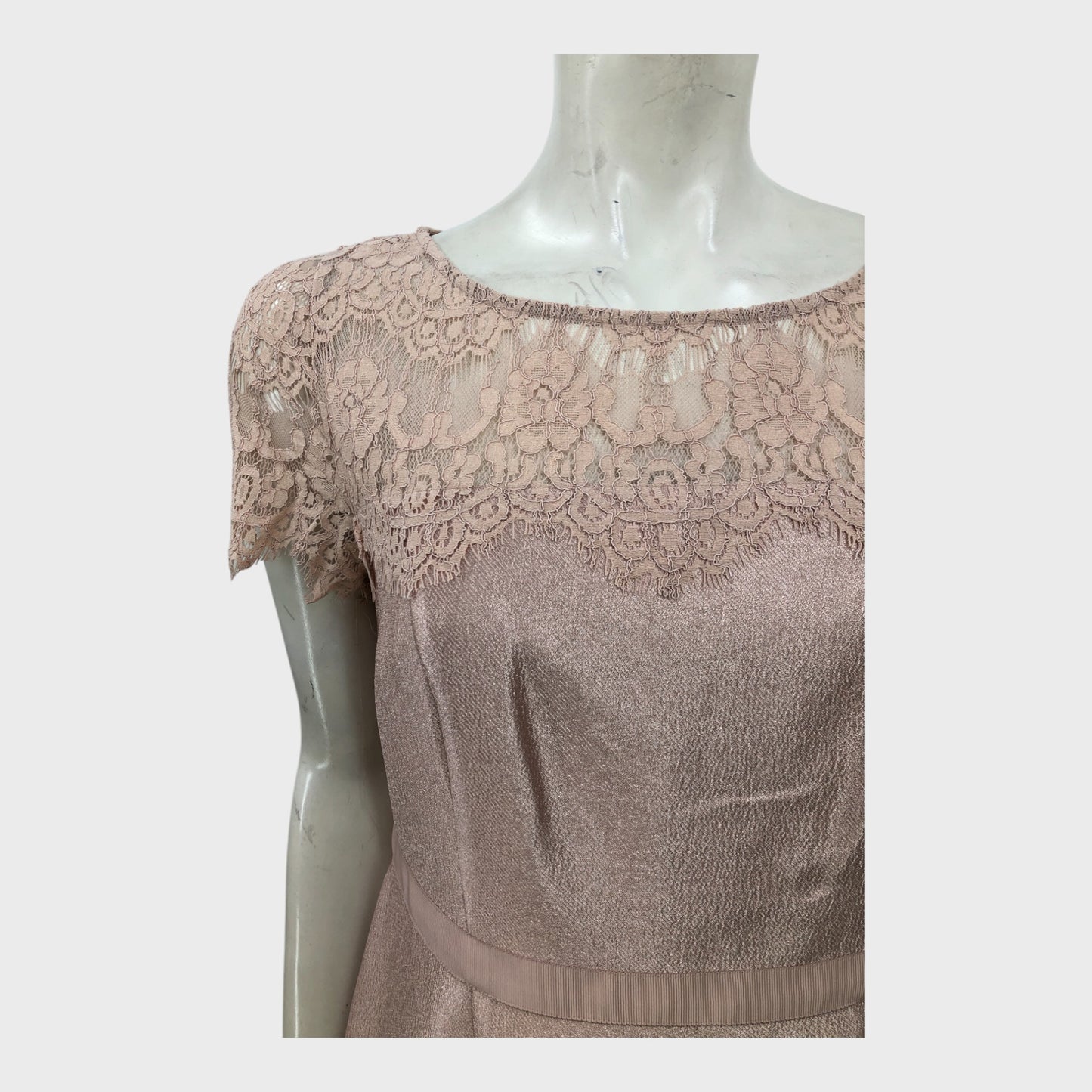 Precis Petite Nude/Gold Lace Dress