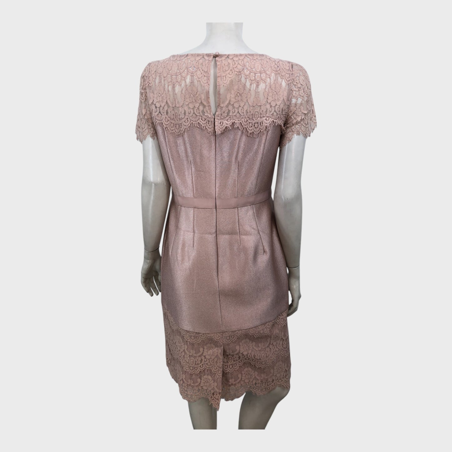 Precis Petite Nude/Gold Lace Dress