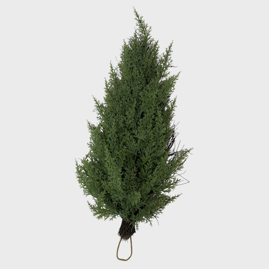 Plain Christmas Bough