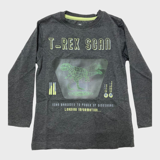 Grey T-Rex Print T-Shirt