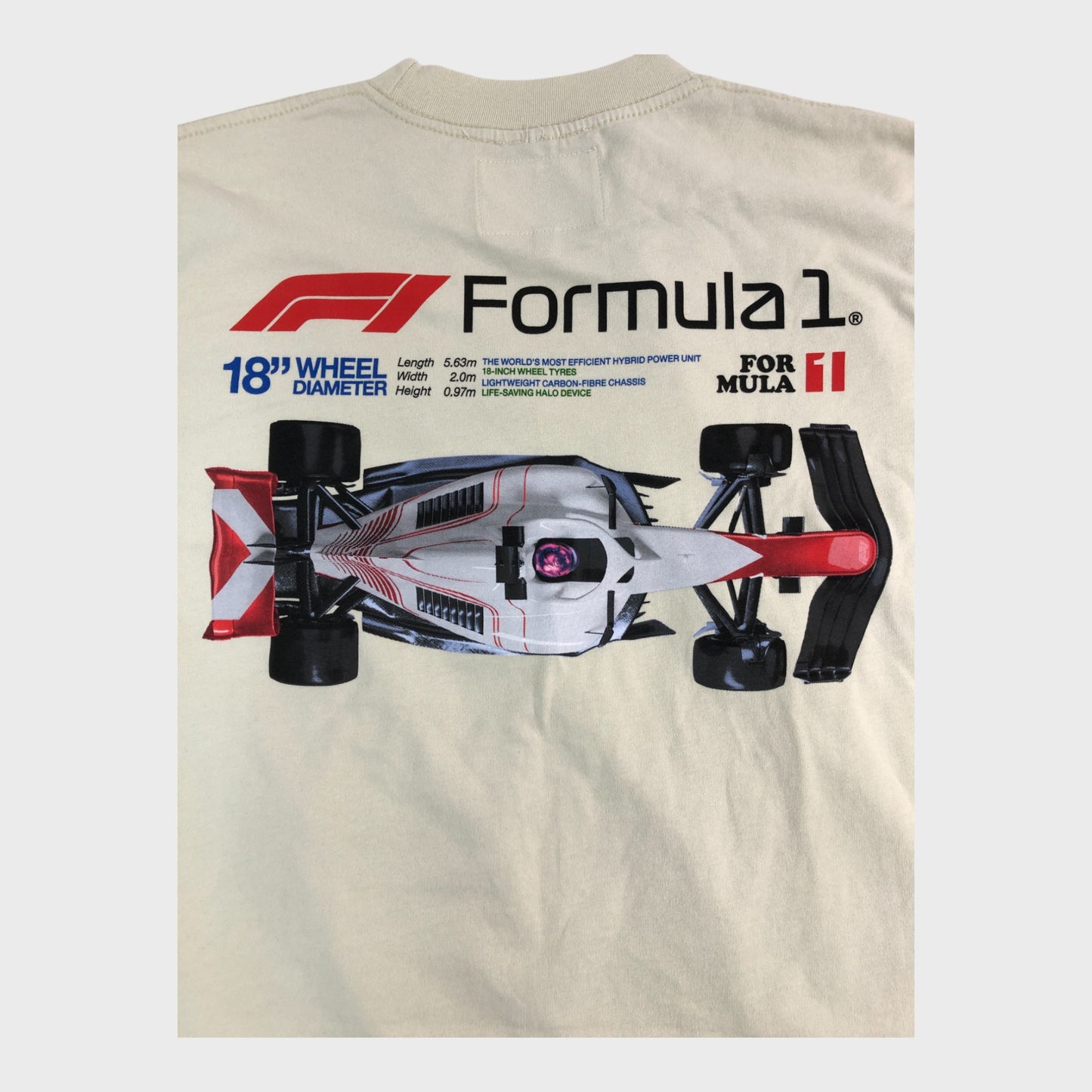 Formula 1 PacSun Model T-Shirt - Size Medium