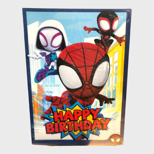 Spidey and Friends Birthday Party Invitations