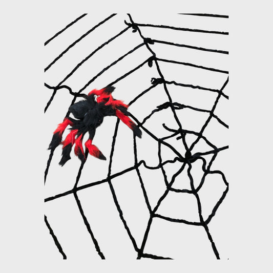 Halloween Spider Web Decoration with Two Spiders