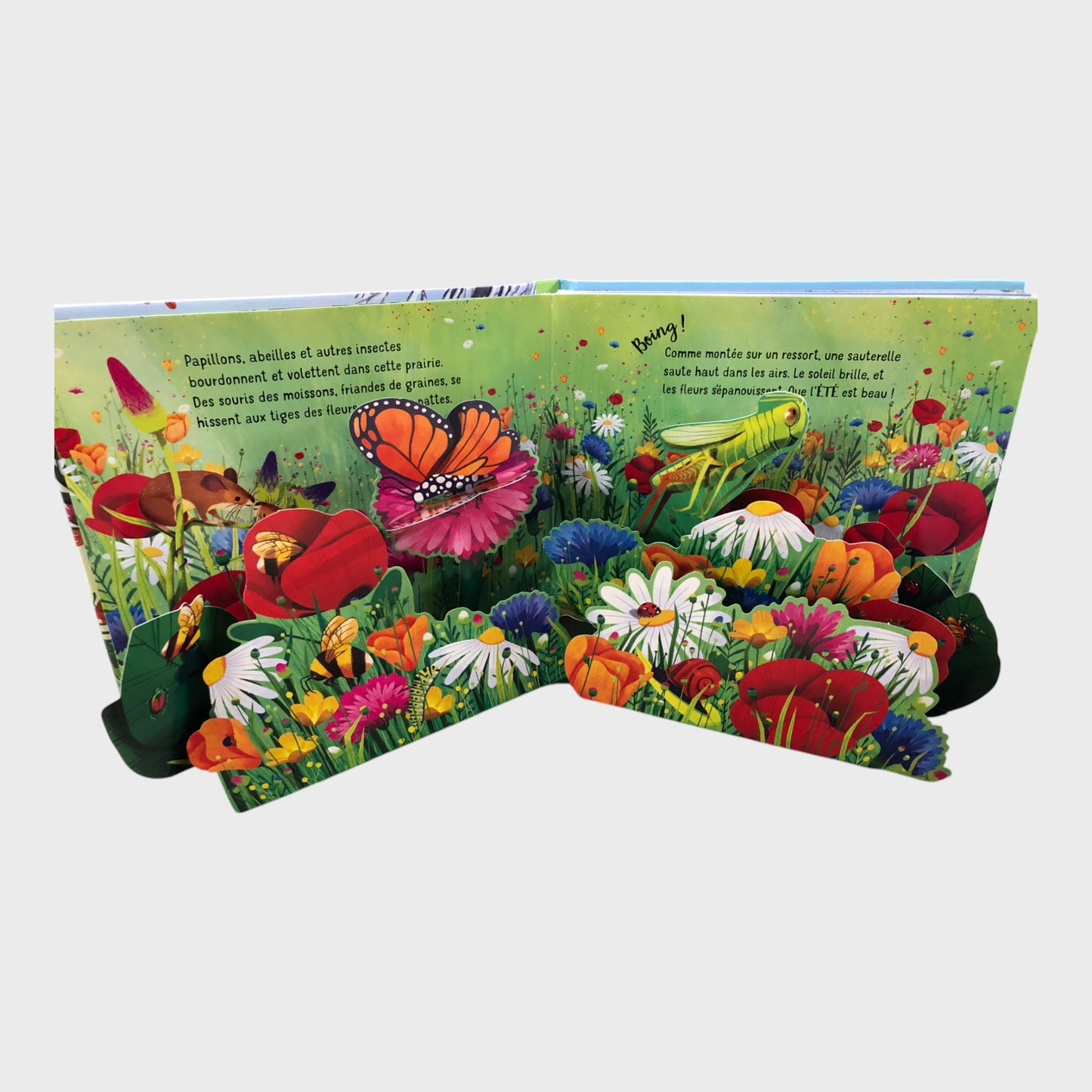 French Seasons Pop-Up Book