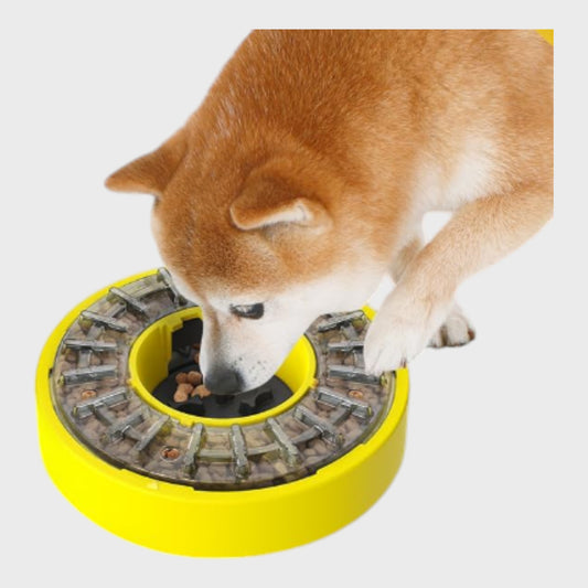 Pet Puzzle Slow Feeder