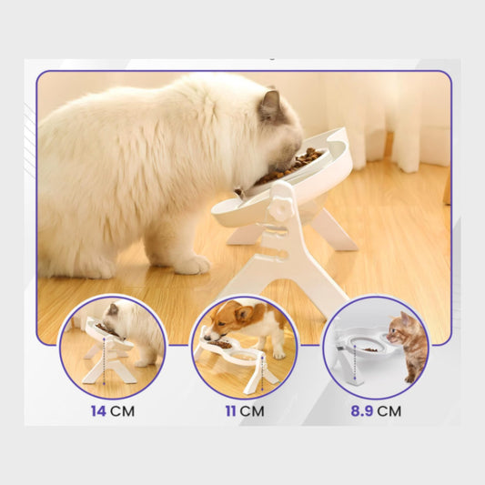 Fur Planet Tilt-n-Taste Pet Bowl