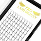 Pro Lash Beauty 3D 0.07 C-Mix Eyelash Extensions Individual Lashes Mix Lengths