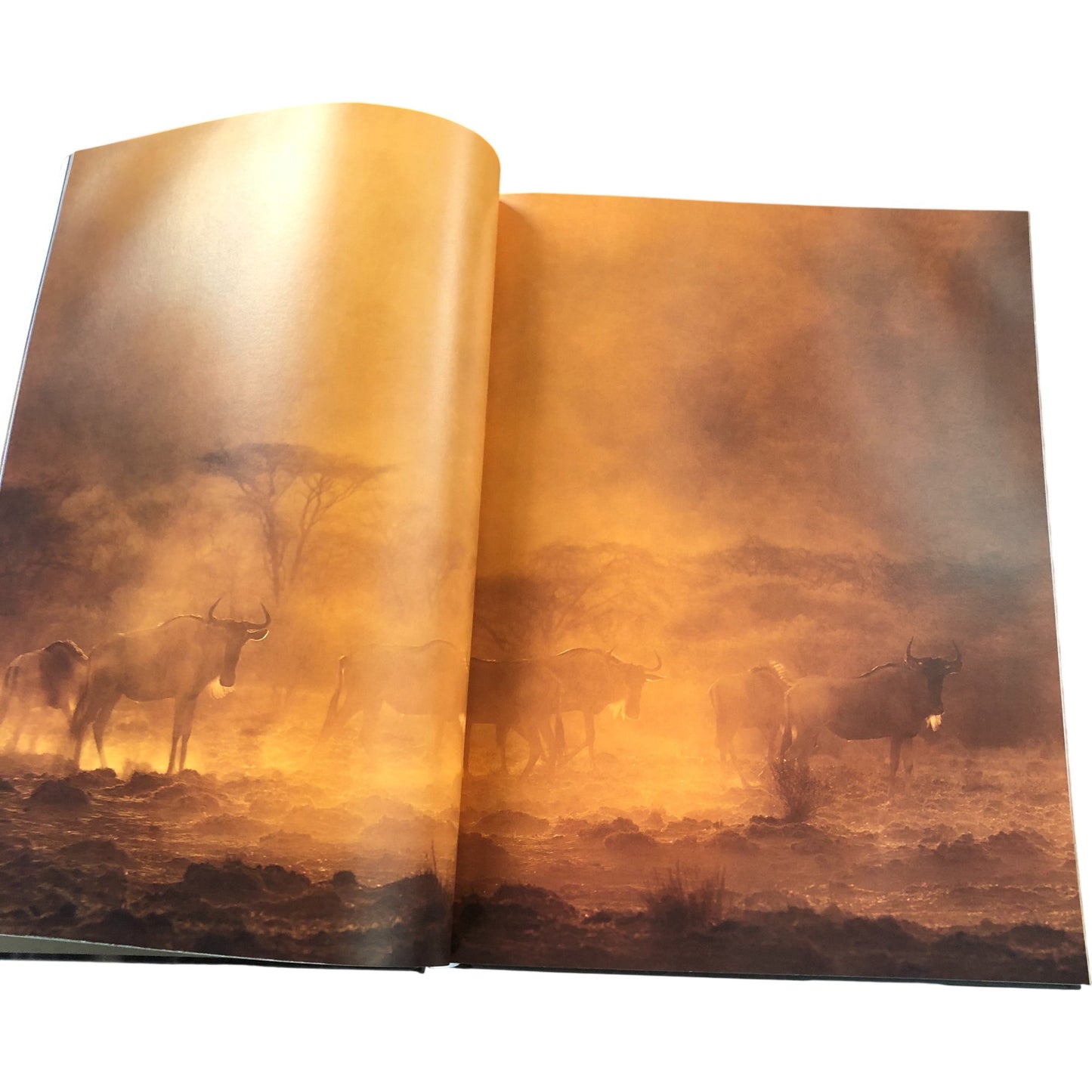 Mother A Tribute To Mother Earth By Marsel Van Oosten Photography Coffee Table